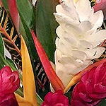 ARRANGEMENTS: Modern arrangement for tropical flowers